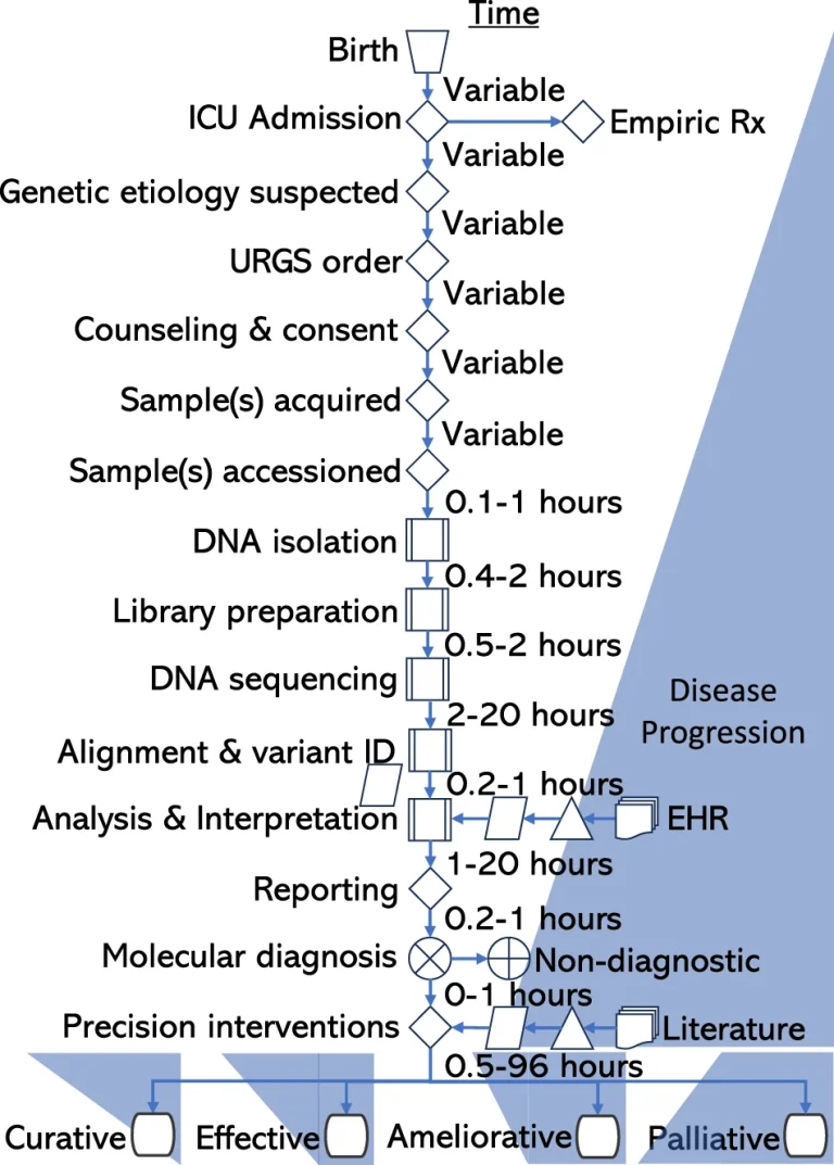 Rapid genomic sequencing
